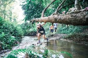 BIB: 
                            <button type="button" onclick="openModal(25443427)" class="btn btn-primary btn-sm float-right btn-popup" data-toggle="modal" data-target=".modal-high-quality">
                        <i class="fas fa-shopping-cart"></i> Add to Cart
                    </button>
                                            <button type="button" onclick="isThisMe(25443427, true)" class="btn btn-success btn-sm float-right btn-popup btn-isme hidden" data-toggle="tooltip" data-placement="bottom" title="นี่คือรูปของคุณใช่ไหม คลิกที่นี่เพื่อเอาเข้าอัลบั้ม">
                        <i class="fas fa-plus"></i> Add to album
                    </button>
                    <button type="button" onclick="isThisMe(25443427, false)" class="btn btn-warning btn-sm float-right btn-popup btn-isnotme hidden">
                        <i class="fas fa-ban"></i> Remove from album
                    </button>